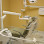 Precise Dental Care