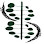 Northbrook Dental Group