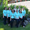 Luchini Family Dentistry