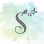 Springwoods Market Dental Care