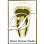 Desai Dental Studio - Dr. Sudhanshu "Sam" B Desai, DDS