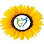 SUNFLOWER DENTAL --- Dr. Amena Tamkenath DMD