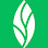 MINT dentistry | Katy