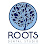 Roots Dental Studio